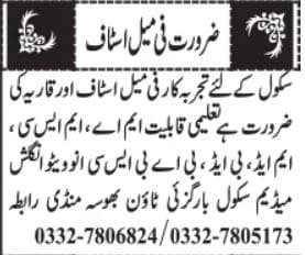 An experienced female staff member is required