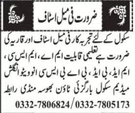 An experienced female staff member is required